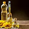 Various types of edible oils in bottles