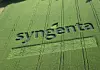 Noch ein Neueinsteiger aus der Schweiz: Syngenta schafft es auf Platz 14. )