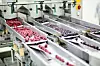 Beispiel für einen Sortierprozess in der Lebensmittelproduktion mit gefrorenen Früchten Urheber: Vladimir Nenezic/Shutterstock