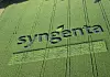 Auch die US-Wettbewerbsbehörde FTC hat der Übernahme von Syngenta durch Chemchina zugestimmt. )
