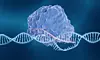 Crispr-Cas9
