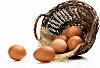 Fresh farm eggs.