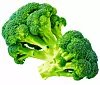 Brokkoli
