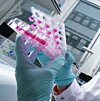 Behandschuhte Hand hält eine transparente Laborprobe mit pinker Flüssigkeit in einem Labor.
