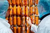 Mitarbeitende begutachten orangefarbene Wurstwaren, die dicht an Gestellen in einer Produktionshalle hängen.