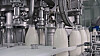 Glass bottles filling with fresh milk on a bottling machine in a dairy plant, highlighting the intricate process of milk production and efficient packaging in the food industry