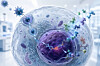 A transparent human cell in cross-section. An engineered viral vector docks at the cell membrane, enters the cytoplasm and delivers therapeutic DNA into the nucleus. Healthy proteins begin to form while diseased proteins fade away. Photorealistic biomedical rendering with scientific accuracy, clean white laboratory background, subtle blue and cyan color palette, ultra-high detail, pharmaceutical technology magazine cover, no text, no futuristic holograms, no fantasy elements.