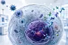 A transparent human cell in cross-section. An engineered viral vector docks at the cell membrane, enters the cytoplasm and delivers therapeutic DNA into the nucleus. Healthy proteins begin to form while diseased proteins fade away. Photorealistic biomedical rendering with scientific accuracy, clean white laboratory background, subtle blue and cyan color palette, ultra-high detail, pharmaceutical technology magazine cover, no text, no futuristic holograms, no fantasy elements.