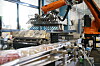 Orangefarbener Industrieroboter in einer Industriehalle neben Förderbändern und verpackten Waren.