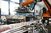 Orangefarbener Industrieroboter in einer Industriehalle neben Förderbändern und verpackten Waren.